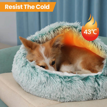 CloudSoft Pet Oasis Comfort Bed