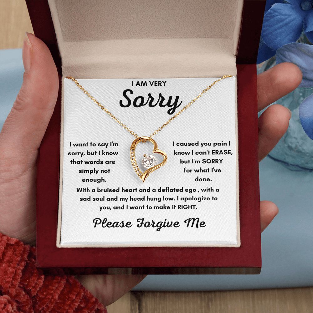 I AM VERY SORRY FOREVER LOVE NECKLACE FORGIVENESS GIFT